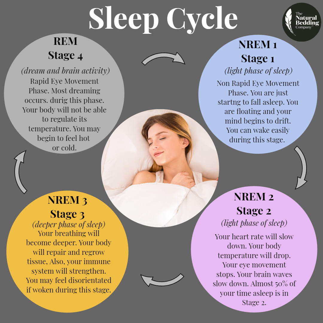 4 مرحله ی خواب